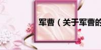 軍曹(關于軍曹的簡介)