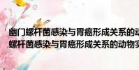 幽門螺桿菌感染與胃癌形成關系的動物實驗研究(關于幽門螺桿菌感染與胃癌形成關系的動物實驗研究介紹)