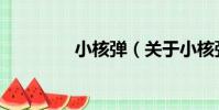 小核彈(關于小核彈簡介)