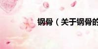 鋼骨(關于鋼骨的簡介)
