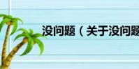 沒問題(關于沒問題的簡介)