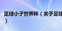 足球小子世界杯(關于足球小子世界杯的簡介)