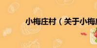 小梅莊村(關于小梅莊村簡介)