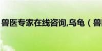 獸醫專家在線咨詢,烏龜(獸醫專家在線咨詢)