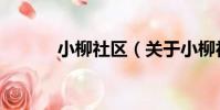 小柳社區(關于小柳社區簡介)