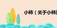 小柿(關于小柿簡介)