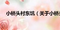 小橋頭村東坑(關于小橋頭村東坑簡介)