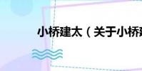 小橋建太(關于小橋建太簡介)