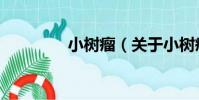小樹瘤(關于小樹瘤簡介)