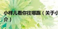 小樣兒看你往哪跑(關于小樣兒看你往哪跑簡介)
