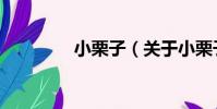 小栗子(關于小栗子簡介)