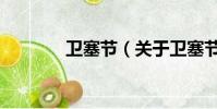 衛塞節(關于衛塞節的簡介)