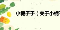 小梔子子(關于小梔子子簡介)
