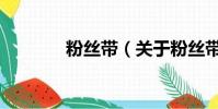 粉絲帶(關于粉絲帶的簡介)