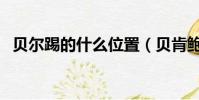 貝爾踢的什么位置(貝肯鮑爾踢什么位置)