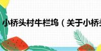 小橋頭村牛欄塢(關于小橋頭村牛欄塢簡介)