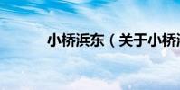 小橋浜東(關于小橋浜東簡介)