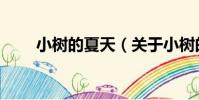 小樹的夏天(關于小樹的夏天簡介)