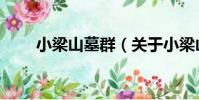 小梁山墓群(關于小梁山墓群簡介)