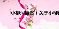 小柳河疑案(關于小柳河疑案簡介)