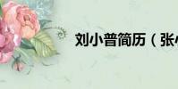 劉小普簡歷(張小普)