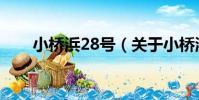 小橋浜28號(關于小橋浜28號簡介)