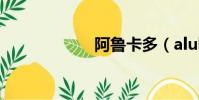 阿魯卡多(aluka)