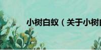 小樹白蟻(關于小樹白蟻簡介)
