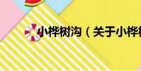 小樺樹溝(關于小樺樹溝簡介)