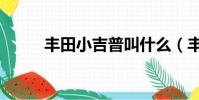 豐田小吉普叫什么(豐田小吉普)