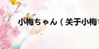 小梅ちゃん(關于小梅ちゃん簡介)