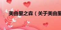 美由里之森(關于美由里之森的簡介)