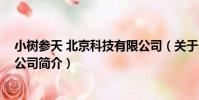 小樹參天 北京科技有限公司(關于小樹參天 北京科技有限公司簡介)