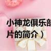 小神龍俱樂部動畫片（關于小神龍俱樂部動畫片的簡介）