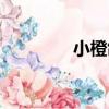 小橙鴿（關于小橙鴿簡介）