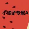 小橘子專屬A車（關于小橘子專屬A車簡介）