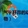 氣宇軒昂的動物是指哪一個肖（氣宇軒昂的動物）