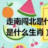 走南闖北是什么生肖?正確的答案?（走南闖北是什么生肖）