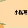小楷寫法（關于小楷寫法簡介）