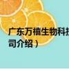廣東萬禧生物科技有限公司（關于廣東萬禧生物科技有限公司介紹）