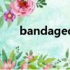 bandaged（關于bandaged的簡介）