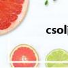 csol商人琥珀（csol商人）
