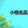 小楷名品集（關于小楷名品集簡介）