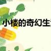 小樓的奇幻生活（關于小樓的奇幻生活簡介）