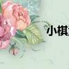 小棋童（關于小棋童簡介）