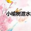 小榆樹泄水閘（關于小榆樹泄水閘簡介）