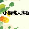 小櫻桃大拼圖3（關于小櫻桃大拼圖3簡介）