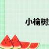 小榆樹站（關于小榆樹站簡介）
