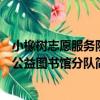 小橡樹志愿服務隊公益圖書館分隊（關于小橡樹志愿服務隊公益圖書館分隊簡介）