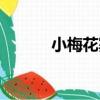 小梅花寨（關于小梅花寨簡介）